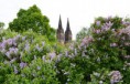 /album/a14-5-vylet-na-vysehrad/vysehrad-6-jpg/